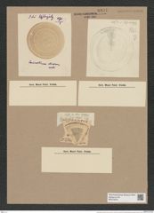 Coscinodiscus clivosus Pant. (de-Toni-Nr.: Genus 202, Species 5138) Zeichnungen Sammlung Grunow Nr. 8891 (NHMW-BOT-W0378543)